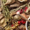 The Power of Spice Medicine: Traditional Uses for Herbal Remedies