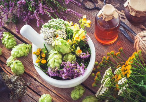 The Benefits of Modern Herbal Medicine