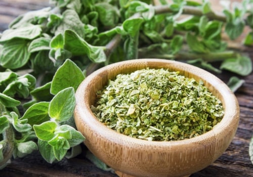 Exploring Oregano: An Overview of Its Uses and Benefits